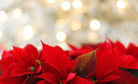 Які свята та чиї іменини відзначатимемо у січні 2023