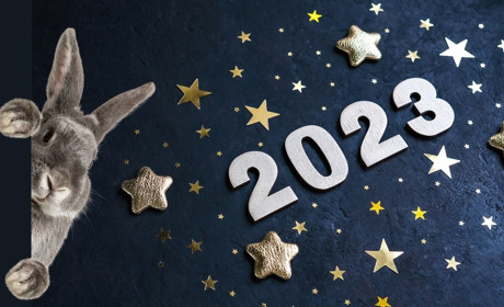 Гороскоп на 2023 рік: що готує нам рік під знаком Чорного Водяного Кролика