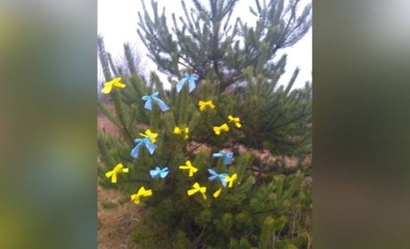 Ялинка незламності в Новій Каховці