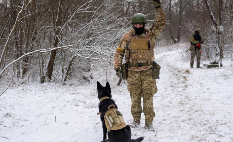 На Одещині службова собака виявила снаряди часів Другої світової війни (ФОТО)