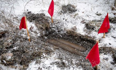 У лісосмузі біля Подільська собака Йорна знайша ще два снаряди часів Другої світової війни