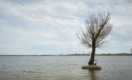 Чому піднявся рівень води у Дніпрі