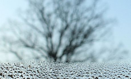 Погода у Старокостянтинові на 16-22 січня: очікується сильний вітер та температурні коливання