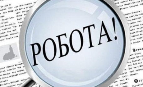 В Добропіллі відновив роботу центр зайнятості. Яку допомогу там можна отримати