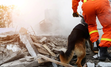 Прості поради, які врятують життя у разі завалу будинку, і нехай вони вам ніколи не знадобляться