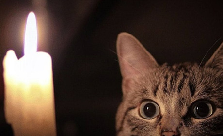 Якою мірою українці відчувають проблеми в електроенергетиці: соцопитування від Центру Разумкова