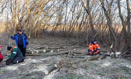 В Добропілля через центр зайнятості працевлаштували 39 осіб. Яку роботу їм знайшли