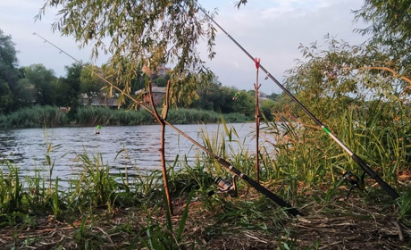 Про нове у правилах рибальства та іхтіофауну «Бузького Гарду»: розмова з фахівчинею