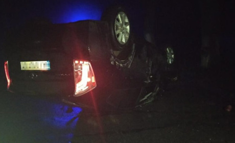 Доїздився: на Звягельщині п’яний водій скерував іномарку у дерево