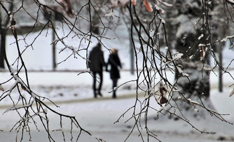 Погода на 30 січня - 5 лютого: коли чекати на класичну зиму зі снігом та морозами