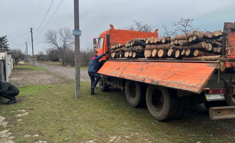 Мешканці Курахівської громади можуть отримати паливну деревину. Куди звертатися