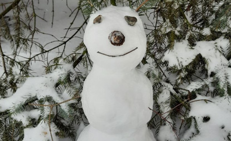 Южненці влаштували флеш-моб зі створення сніговиків по місту (ФОТО)