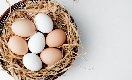 Яйця планують продавати по-новому. Що ж зміниться