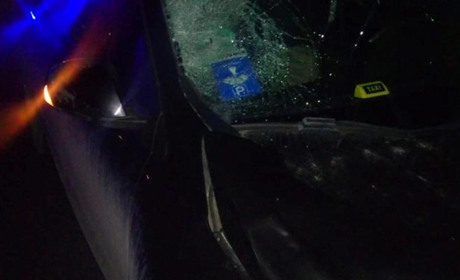 У Трускавці трапилася смертельна аварія: водій Renault Megan збив пішохода