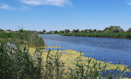 Ніжин – озеро: реальність й спогади