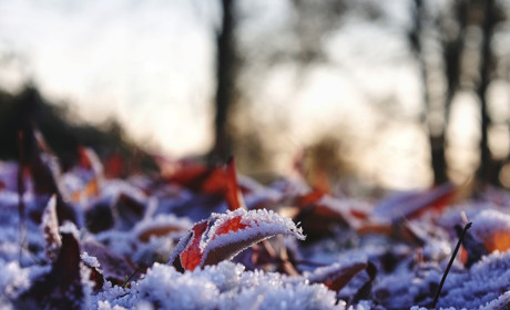 Погода на 6-12 лютого: тиждень буде помірно морозним