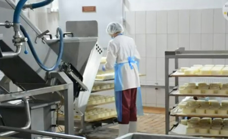 Золотоніський маслоробний комбінат виготовляє нову продукцію на релокованій лінії – чедерні сири