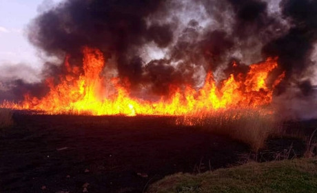 У Миколаївській області на пожежі виявили тіло 87-річного чоловіка