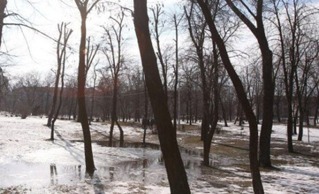 Якою буде погода на Кагарличчині та Ржищівщині на вихідні