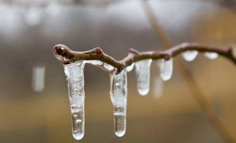 Погода в Кагарлику та Ржищеві на тиждень - з 13 по 19 лютого