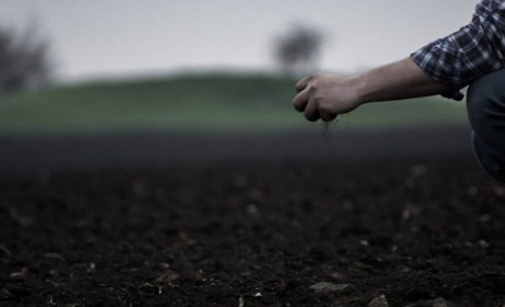 Нецільове використання: громаді на Луганщині повернули сільгоспземлі вартістю понад 30 млн грн