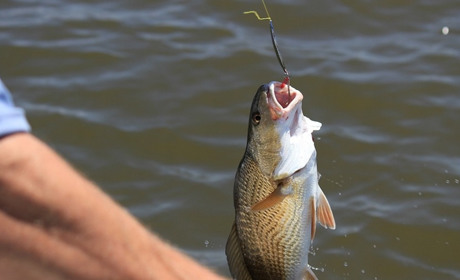 Календар рибалки - 2023