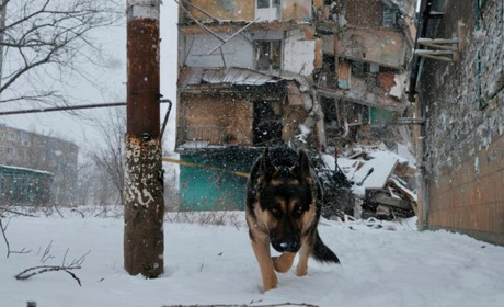 Як виглядає Вугледар сьогодні. Фото та відео