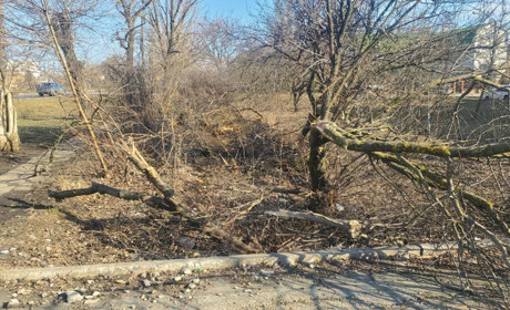 Окупанти влаштували п'яне ДТП у Бердянську
