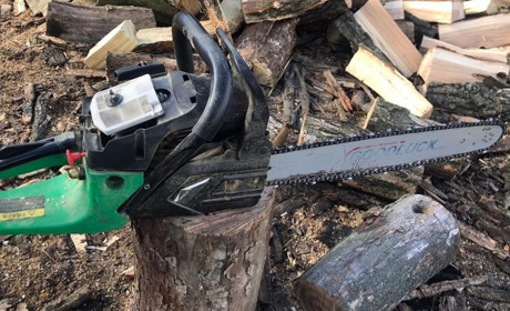 На Полтавщині викрили групу зловмисників, які незаконно вирубали дерева на понад 700 тисяч гривень