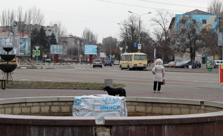 Житло та робота: як переселенці у Нікополі розв'язують питання працевлаштування та прихистку