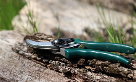 Місячний посівний календар на березень 2023