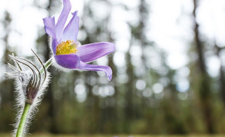 Весна і війна: чого чекати українцям у березні