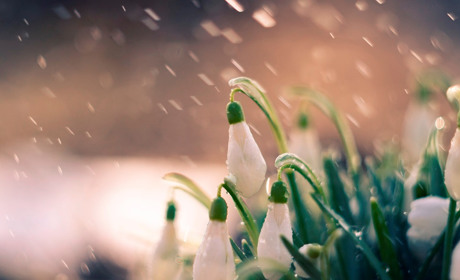 Погода в Барі на другий тиждень березня: обіцяють то -2, то +10 і дощитиме