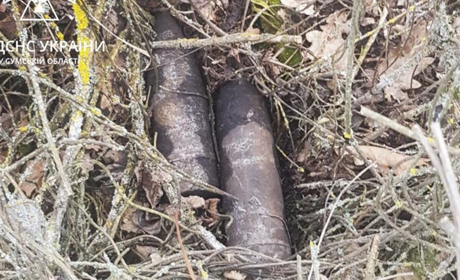 За минулу добу в Конотопському районі ДСНС знищили 11 вибухонебезпечних предметів