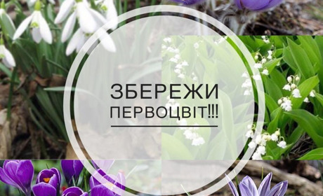 Нікопольський екоцентр оголосив онлайн-конкурс для дітей «Збережи первоцвіт»: як долучитися