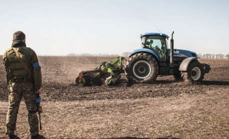 Фермерам нема сенсу щось сіяти