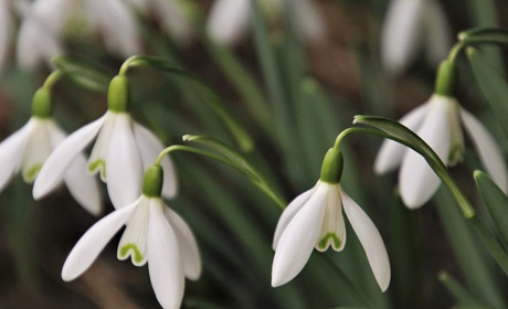 Погода у Старокостянтинові на 13-19 березня: чи порадує повітря теплом