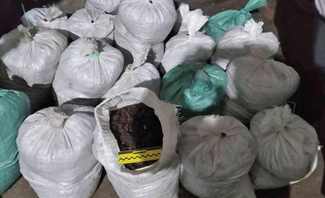 У жителя Сарненського району вилучили бурштин вартістю 1,5 мільйона гривень