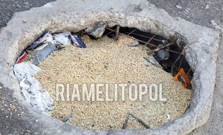 У Мелітополі окупанти засипають краденим зерном ями на дорогах