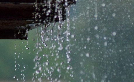 Погода в Кагарлику та Ржищеві на тиждень - з 20 по 26 березня