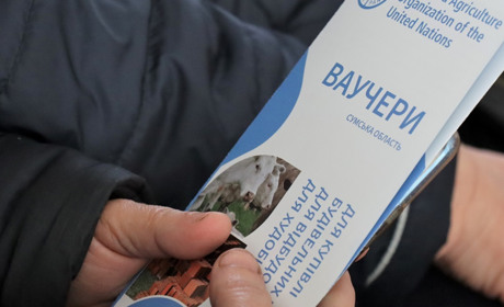 Мешканці Тростянця отримали ваучери на відбудову. Як їх використати