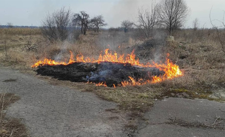 Бур’ян палять – гроші «горять» – це про Ніжин