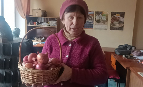 Цибуля «Заграва» від селекціонерів із Крут не поступається «Ялтинській місцевій»