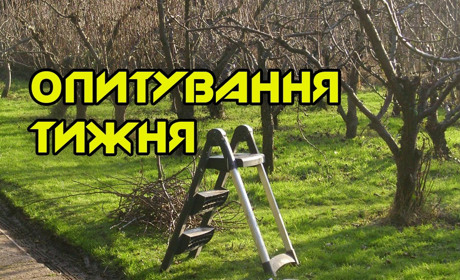 Опитування тижня: які весняні роботи ви розпочали? Розповідають жителі Переяславщини
