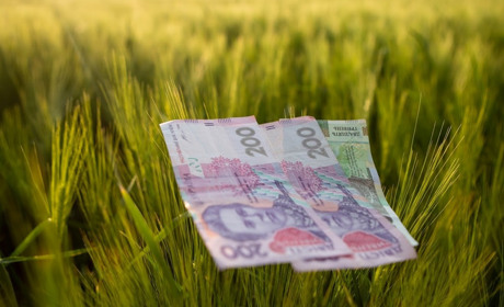 У Гадячі депутати не підтримали рішення про фінансування на 2,5 мільйона гривень КП "Гадяч-Агро"