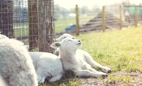 Погода на Кагарличчині та Ржищівщині на вихідні 25 і 26 березня