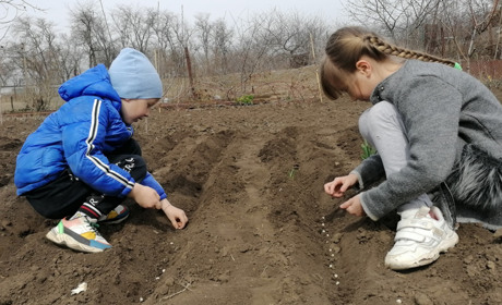 Дефіцит опадів: на півдні Одеської області у ґрунті не вистачає вологи. Які прогнози на врожай-2023