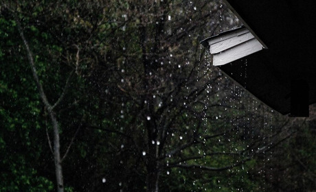 Погода в Кагарлику та Ржищеві на тиждень - з 27 березня по 2 квітня