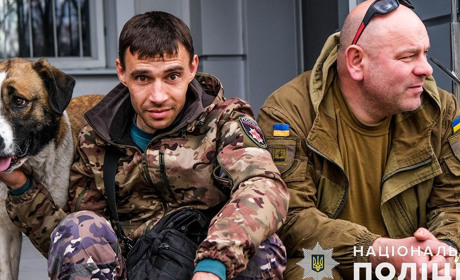 Білі Янголи врятували покинуту собаку та доставили гуманітарку в Красногорівку