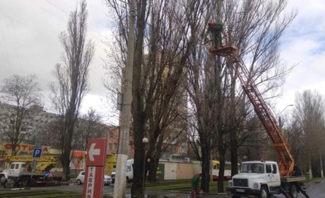 Негода на Одещині: понад 100 повалених дерев, підтоплене узбережжя та дві людини в лікарні